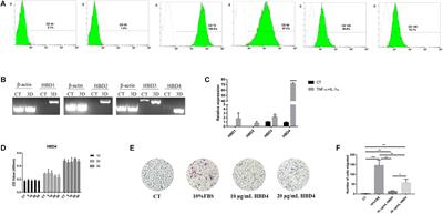 Activation and Biological Properties of Human β Defensin 4 in Stem Cells Derived From Human Exfoliated Deciduous Teeth